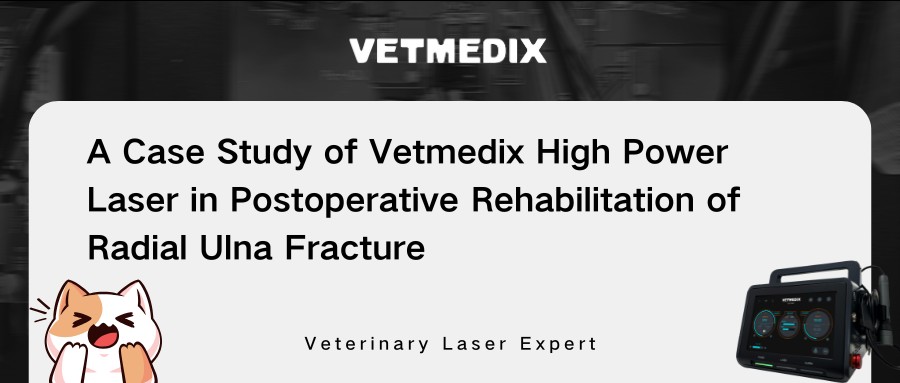 Vetmedix Case Sharing 丨 Högeffekt laserterapi i den postoperativa rehabiliteringen av radiellt ulnafraktur