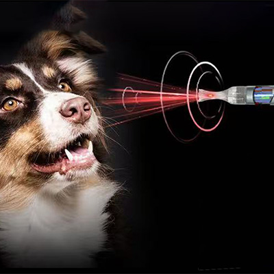 Varför använda klass IV laser i veterinärmedicin?